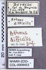 Etikette zu Athous (Orthathous) difficilis (Dufour, 1843) (NHMW-ZOO-COL-0008453)